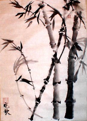 竹子 Bamboo
